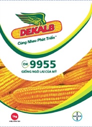 Dekalb DK9955